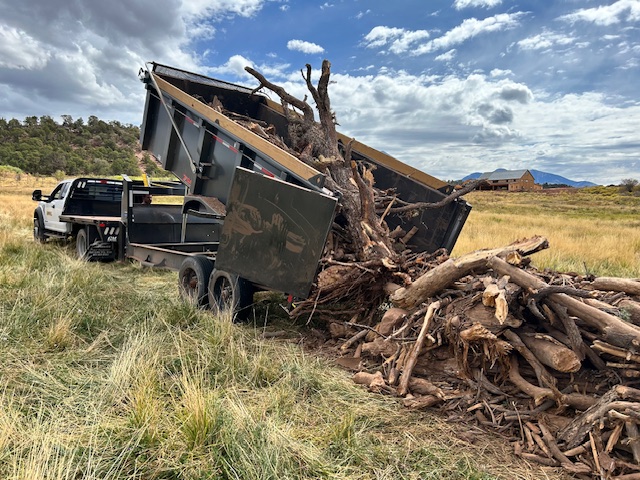 Heavy machinery clearing waste